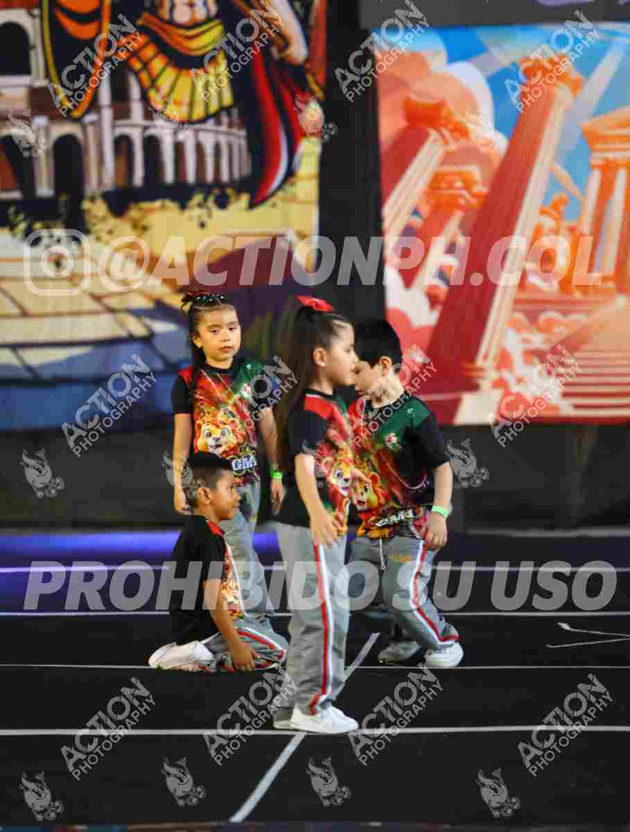Preview de TRANSICION B