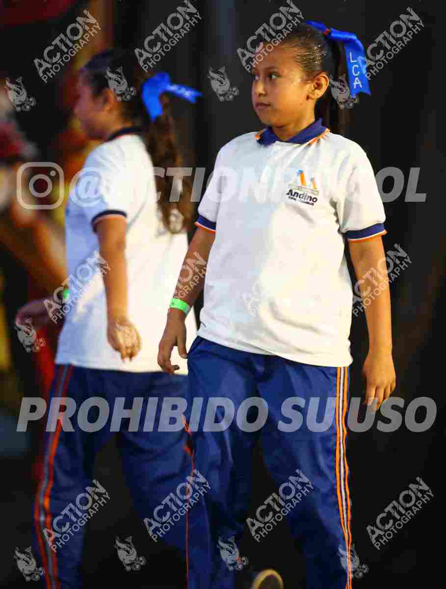 Preview de COLEGIO LICEO CAMPESTRE ANDINO