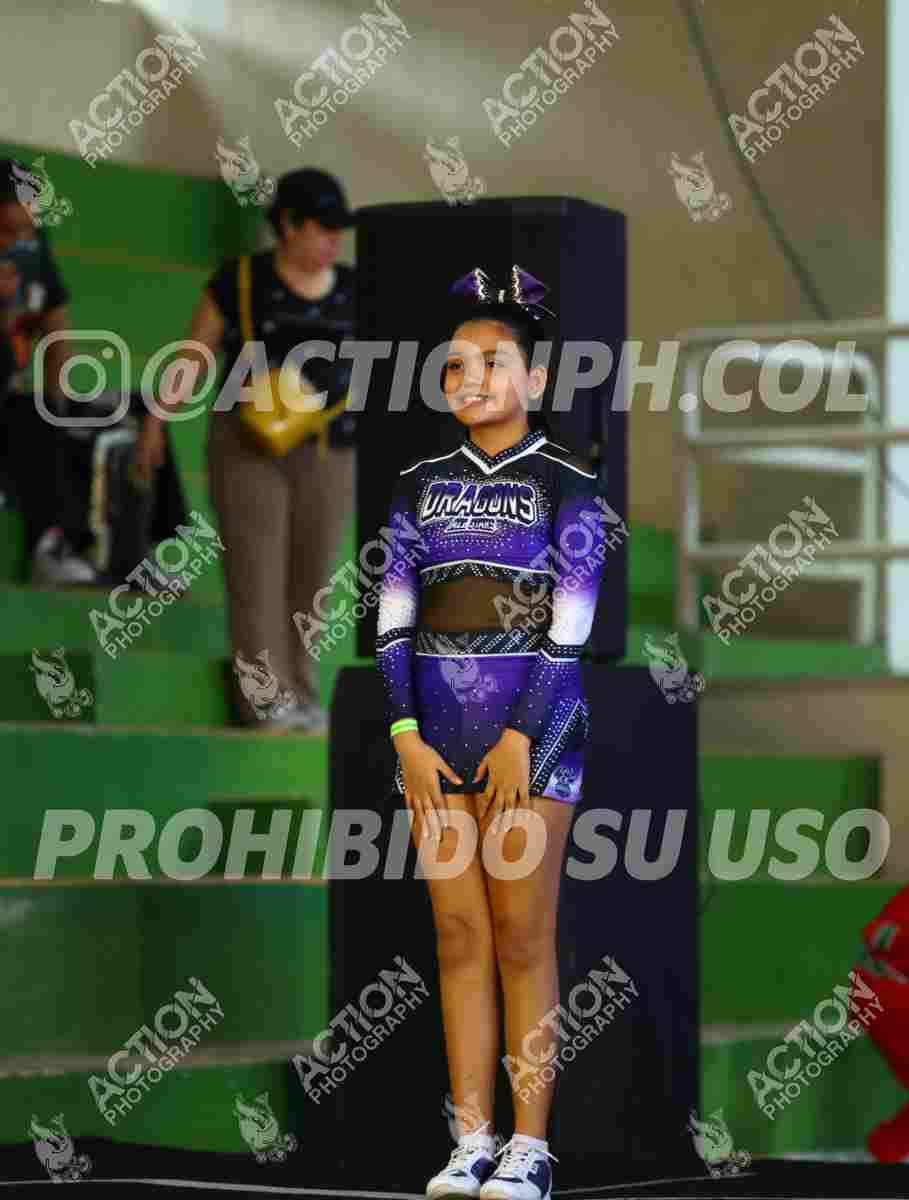 Preview de DRAGONS