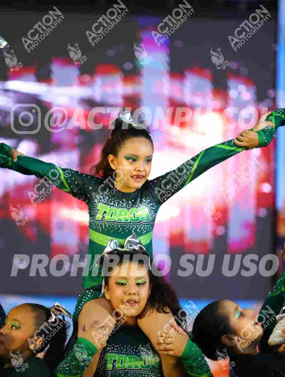Preview de CLUB TOROS