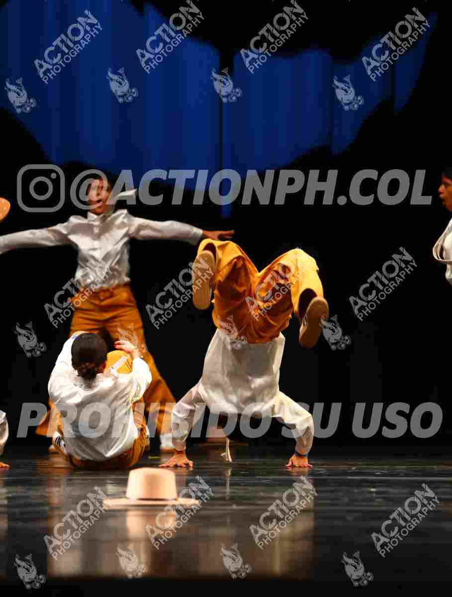 Preview de Vox Corpus Danza