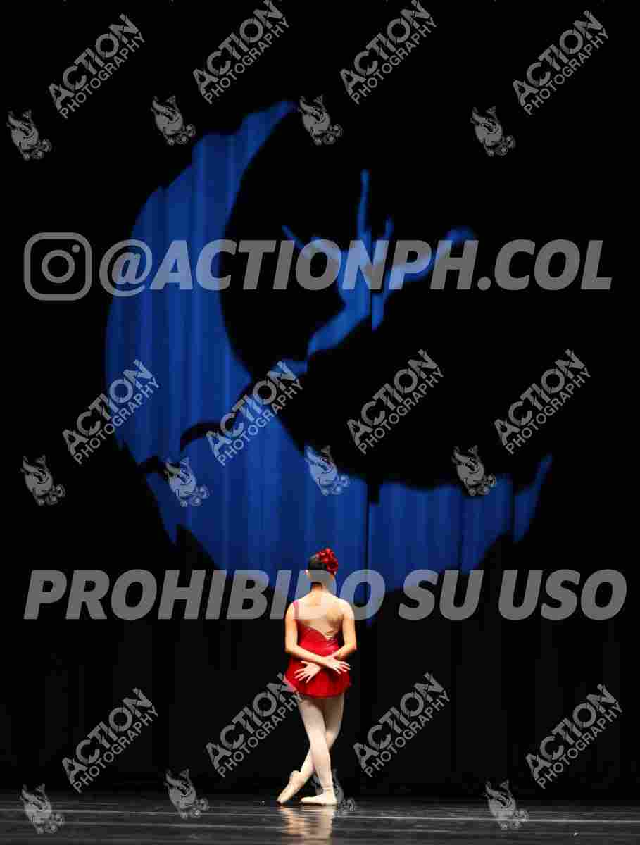 8V3A8597.JPG