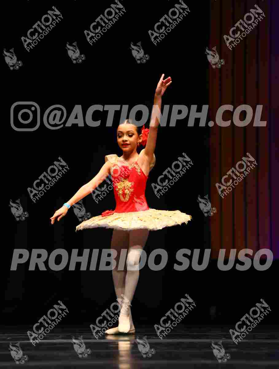 8V3A9637.JPG