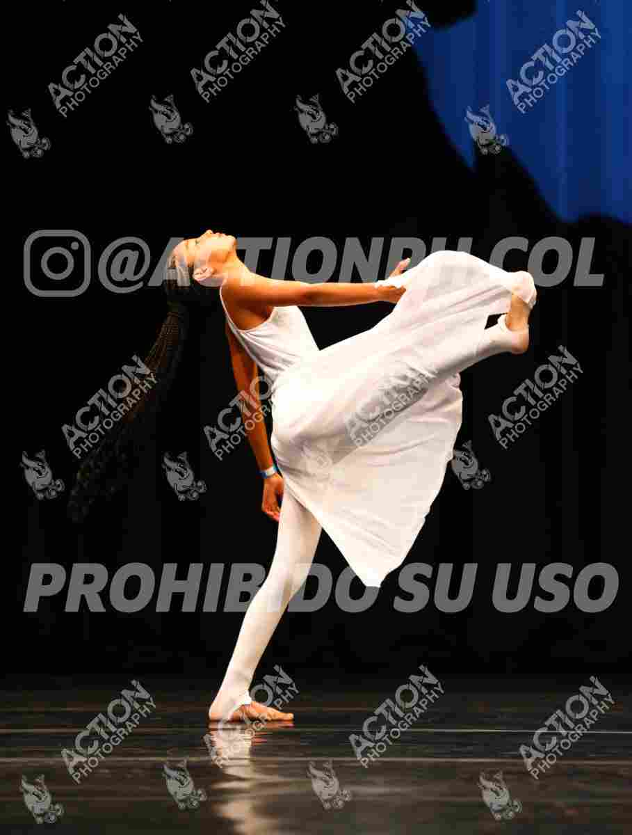 Preview de Romper el Molde - Celeste Suarez Zambrano