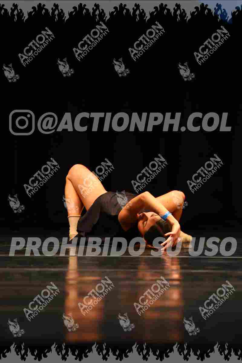 Preview de Coming to the tree - Maria José Joaqui