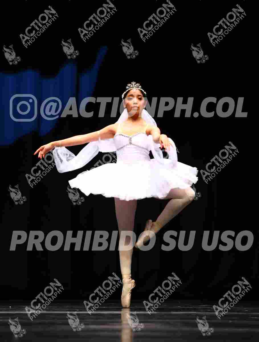 8V3A0078.JPG