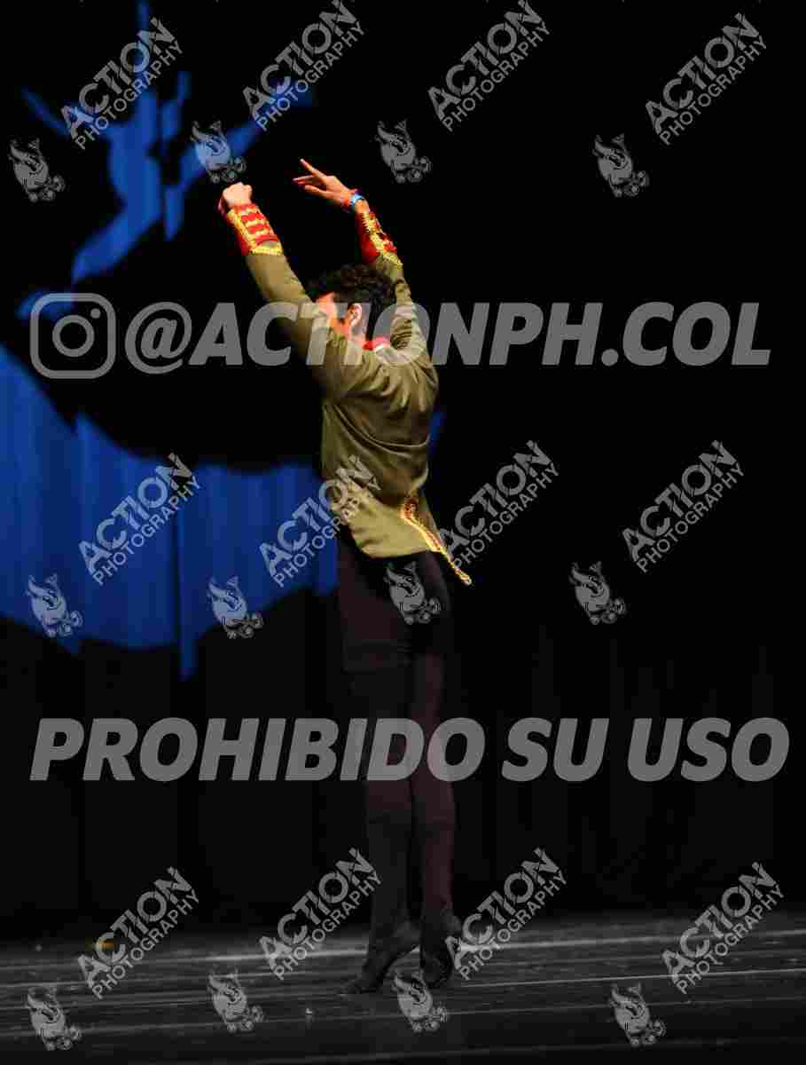 Preview de Swan Lake - Diego Enrique Dupouy