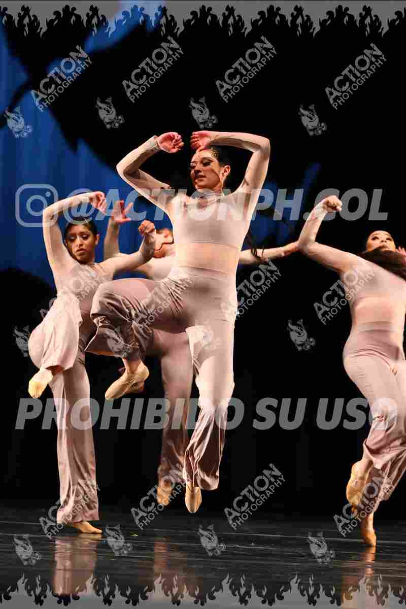 Preview de Anicca