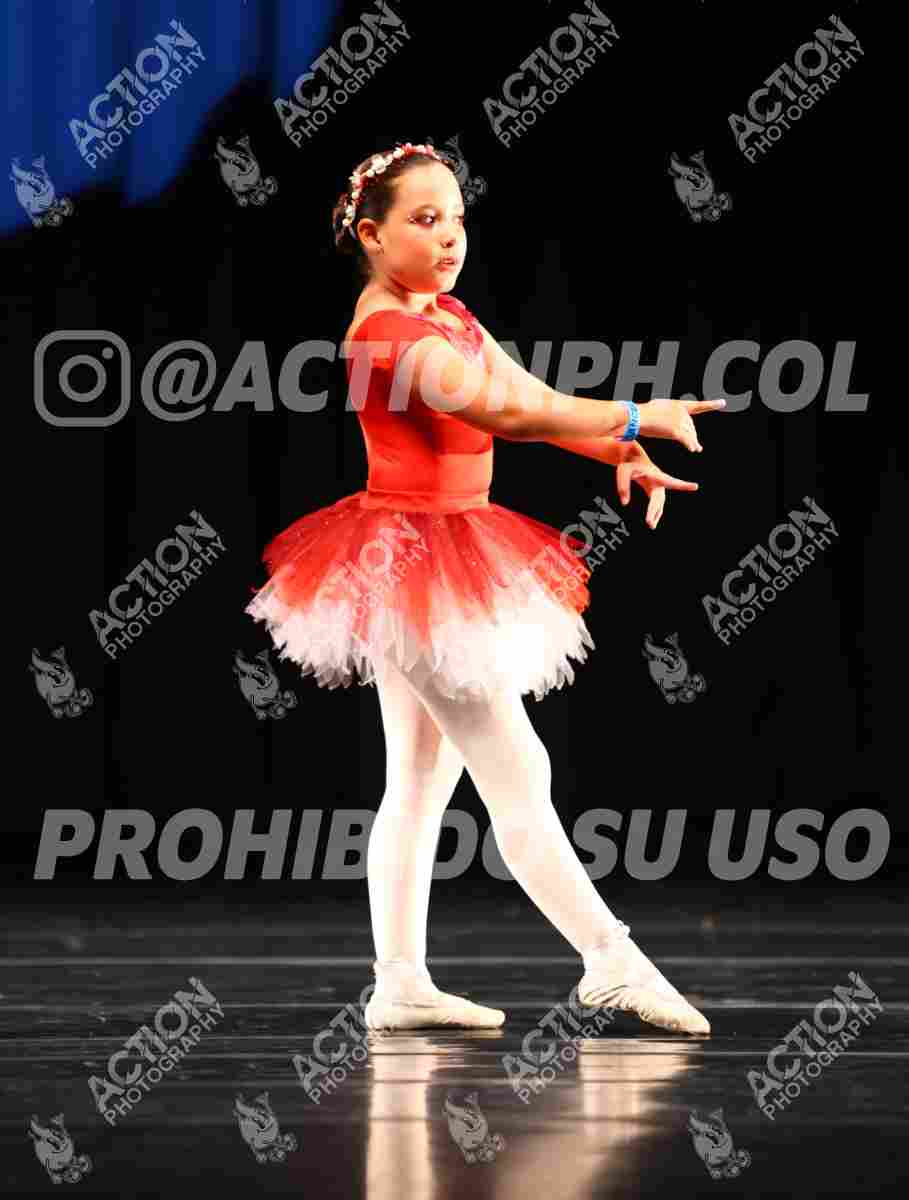 8V3A0579.JPG