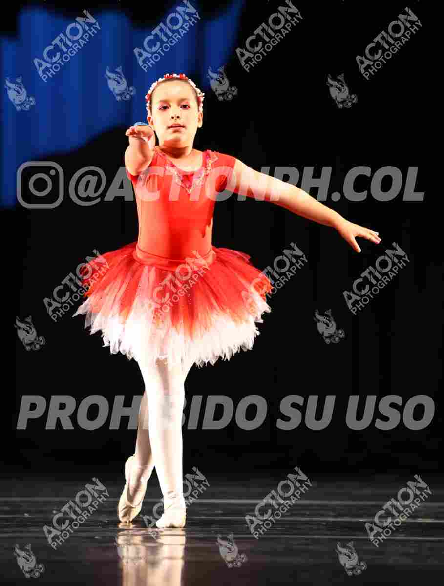 8V3A0589.JPG