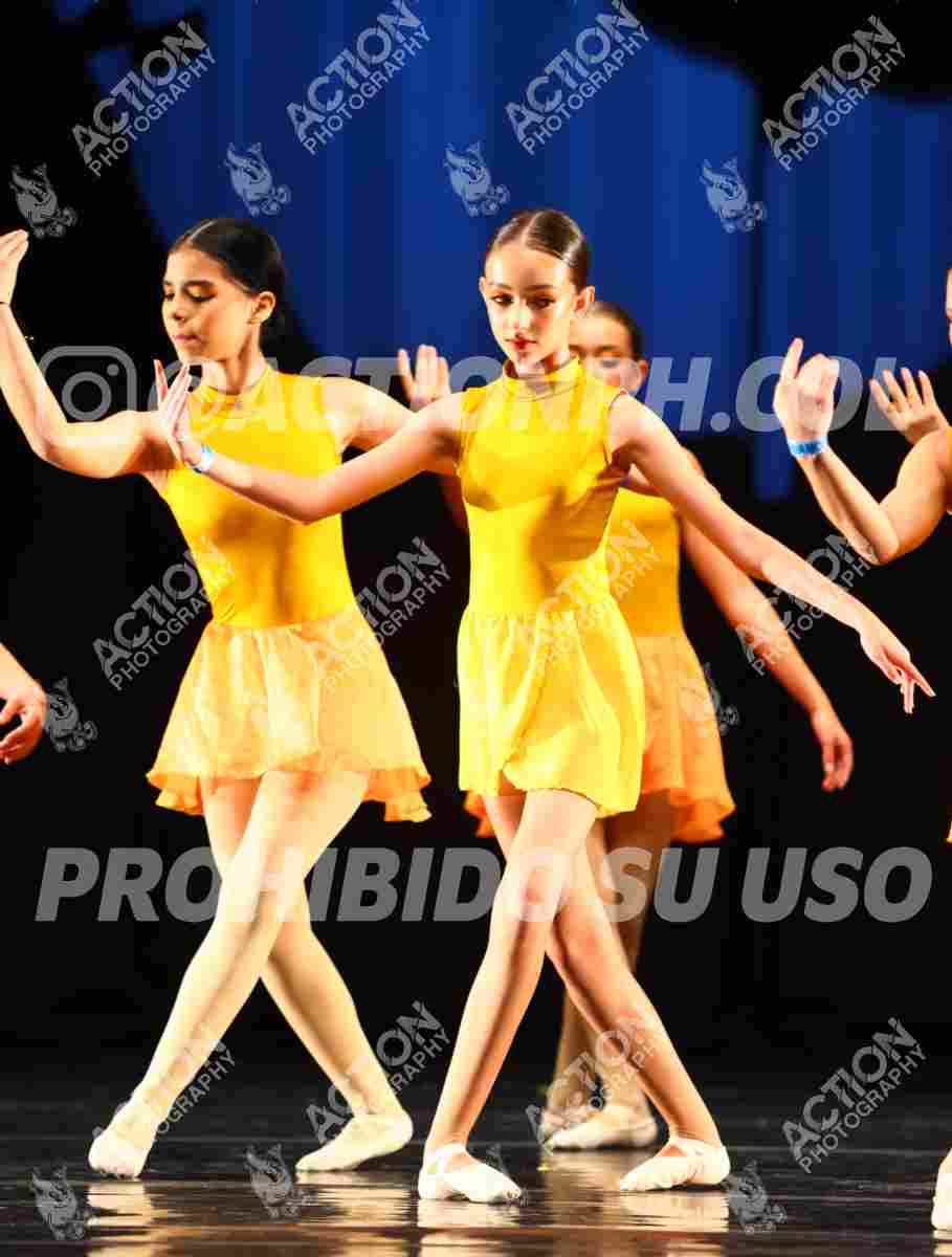 8V3A0906.JPG