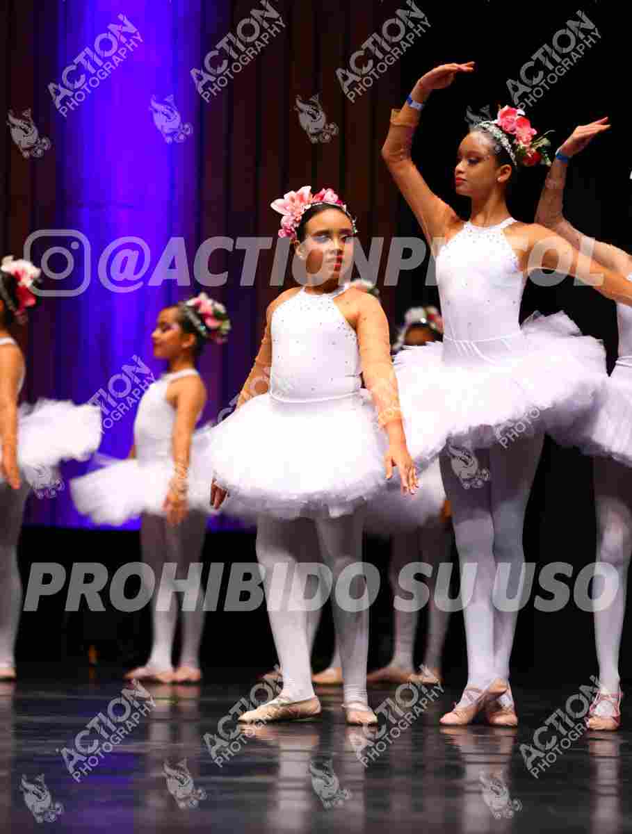 Preview de Nab Ballet