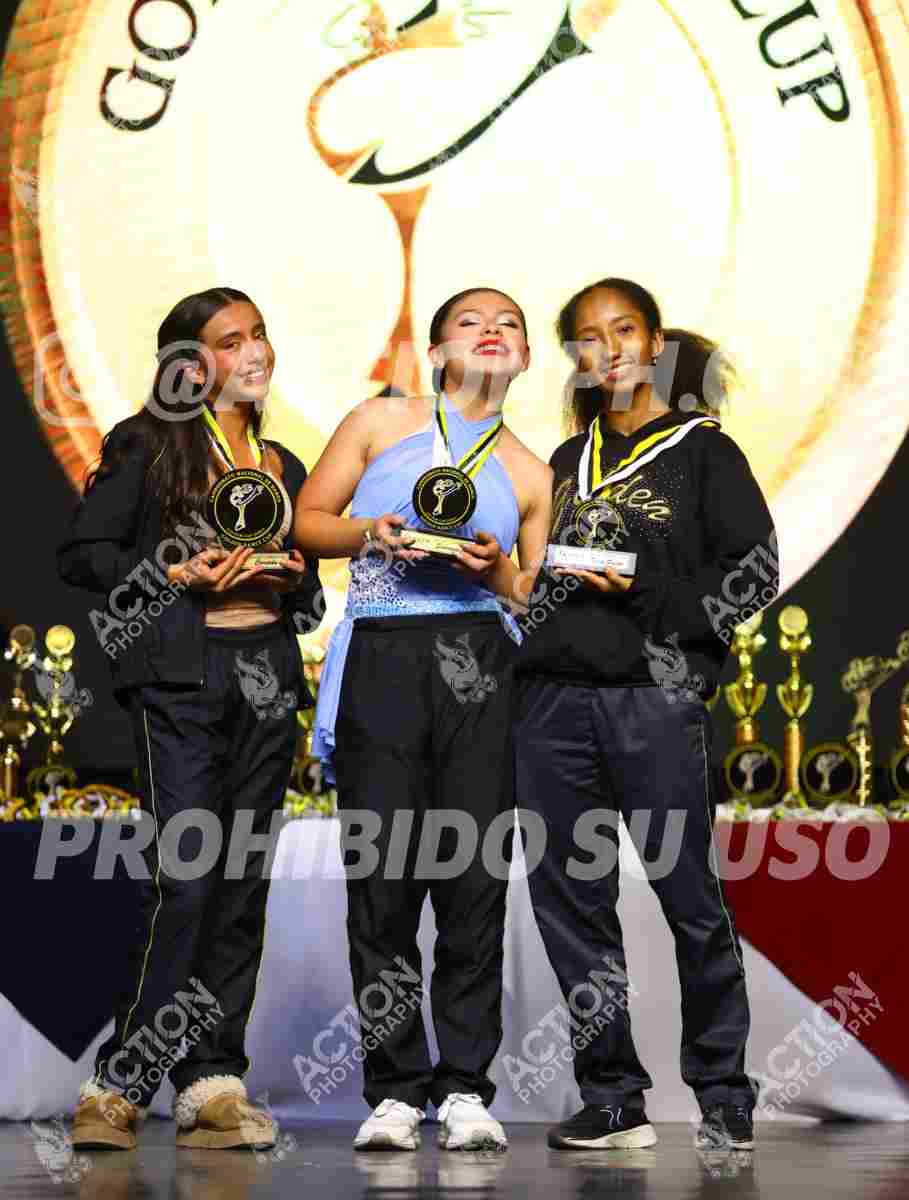 Preview de PREMIACIONES