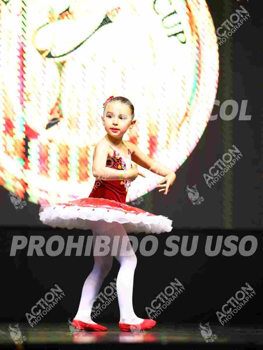 8V3A2055.JPG