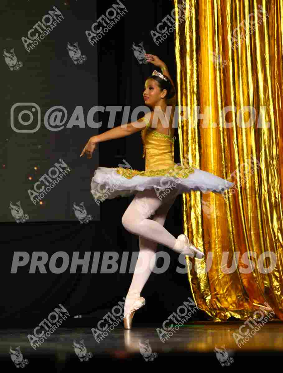8V3A3666.JPG