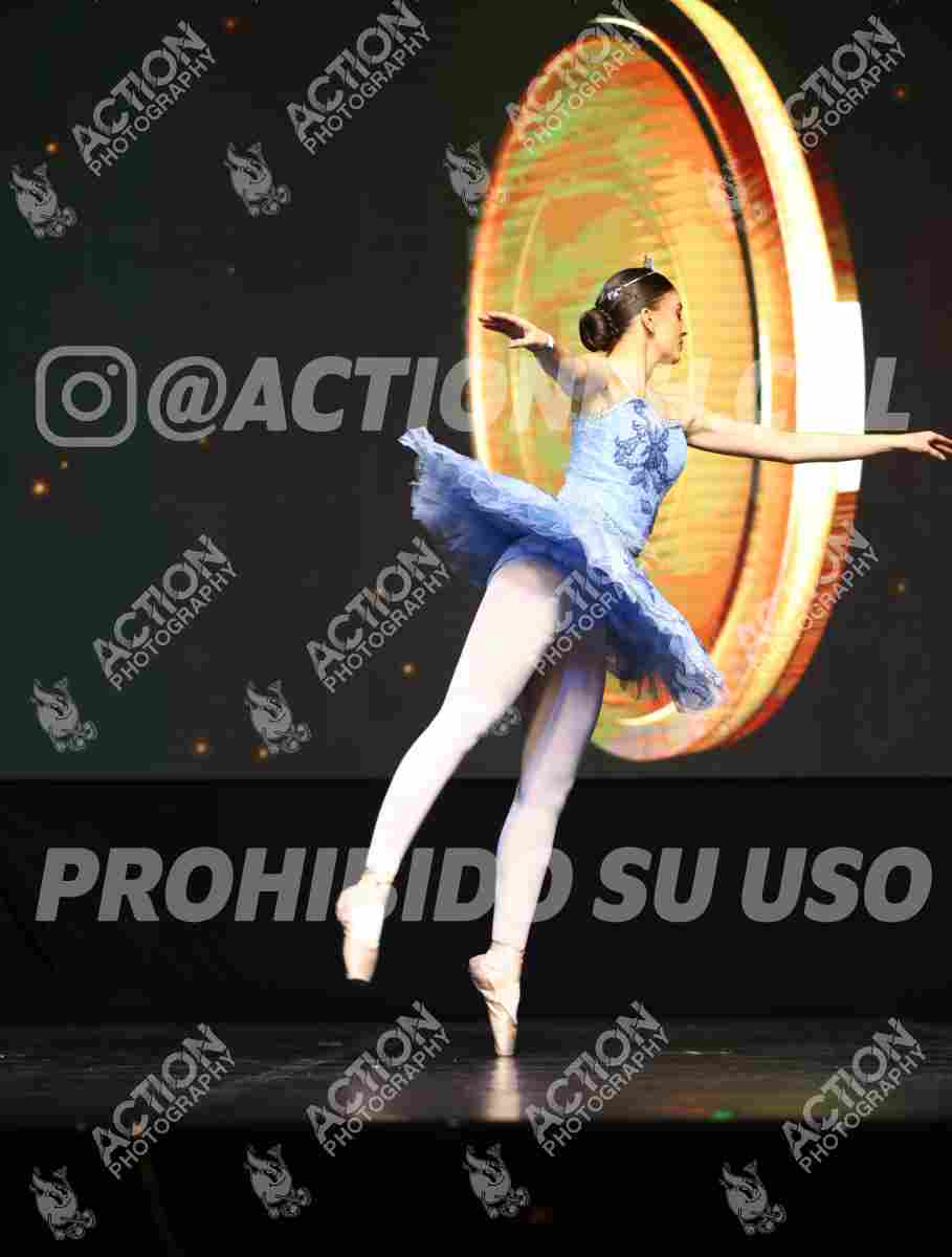 Preview de PAJARO AZUL-CATALINA VÁSǪUEZ WEHDEKING
