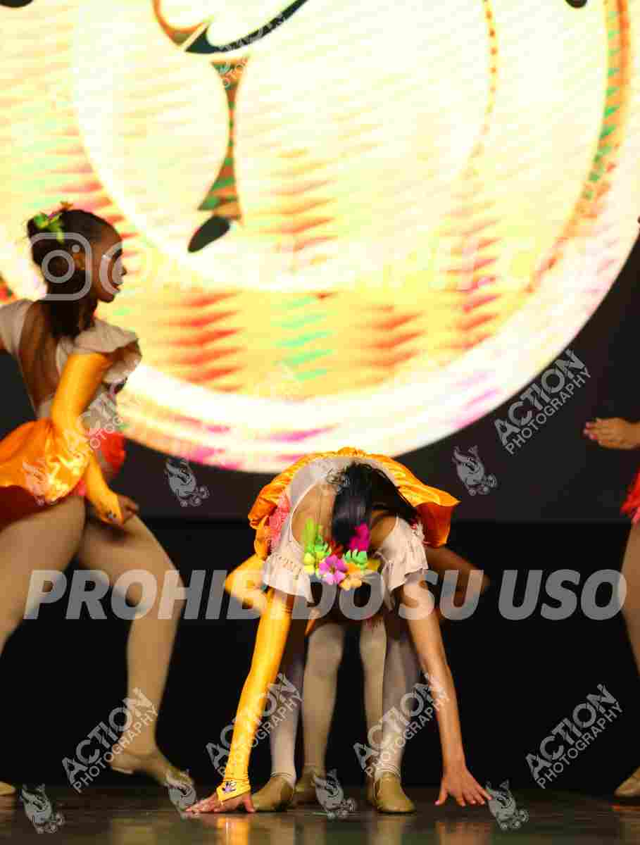 Preview de ARRASANDO