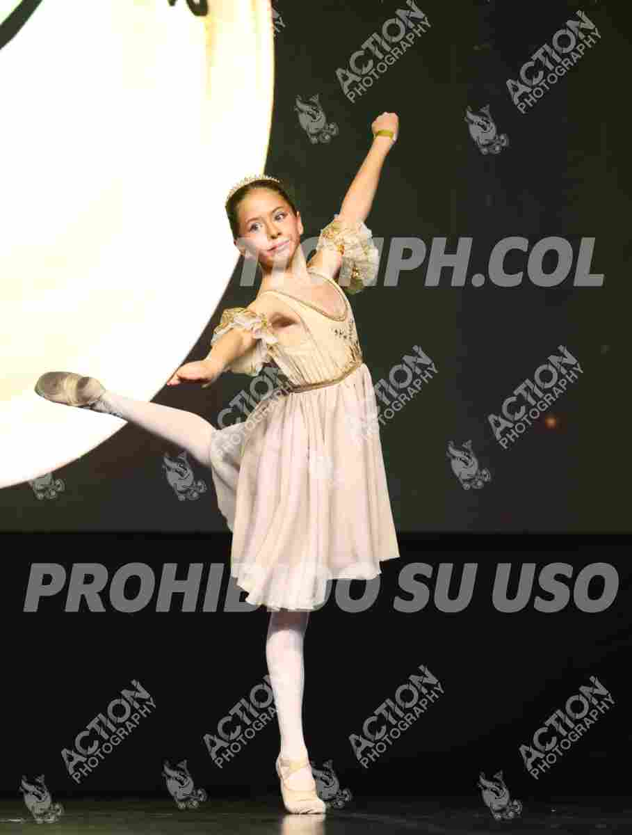 8V3A7963.JPG