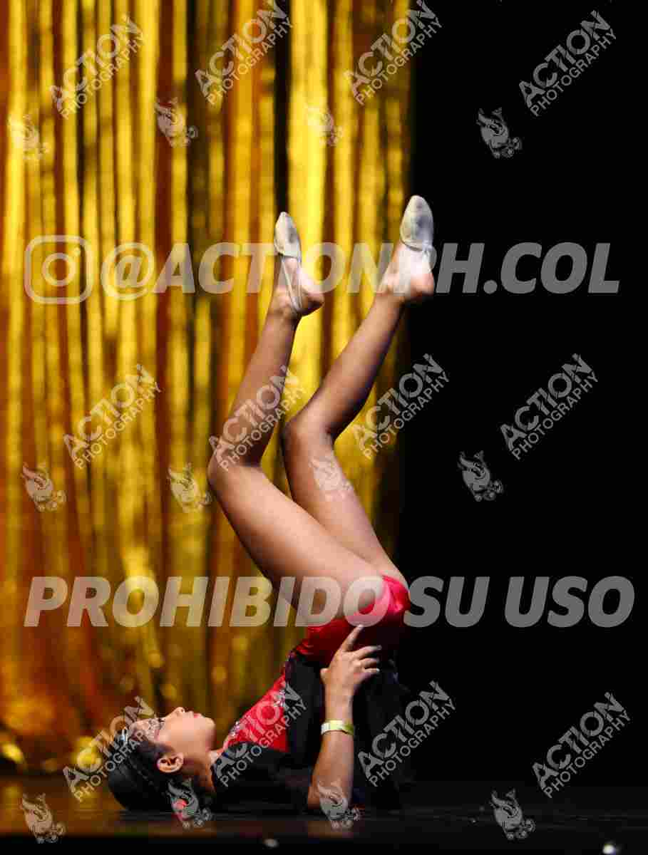 Preview de I'LL KEEP COMMING -LOW ROAR - ANA LUCIA ROBLES CORTES