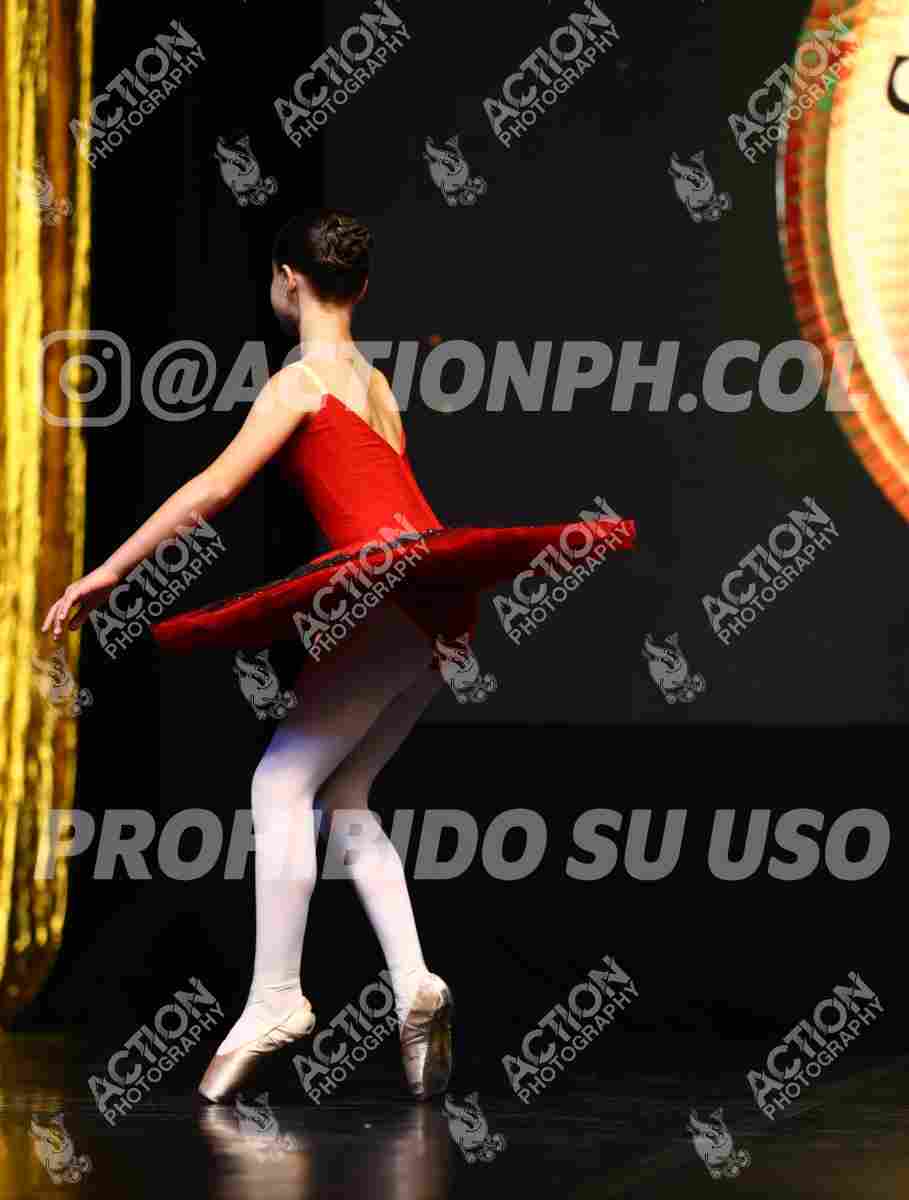 8V3A8258.JPG