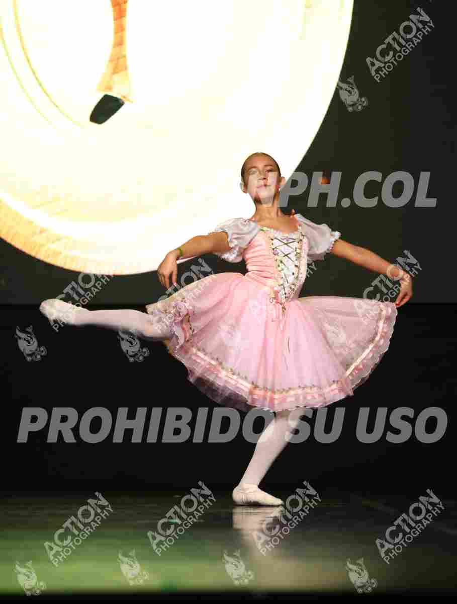 8V3A8393.JPG