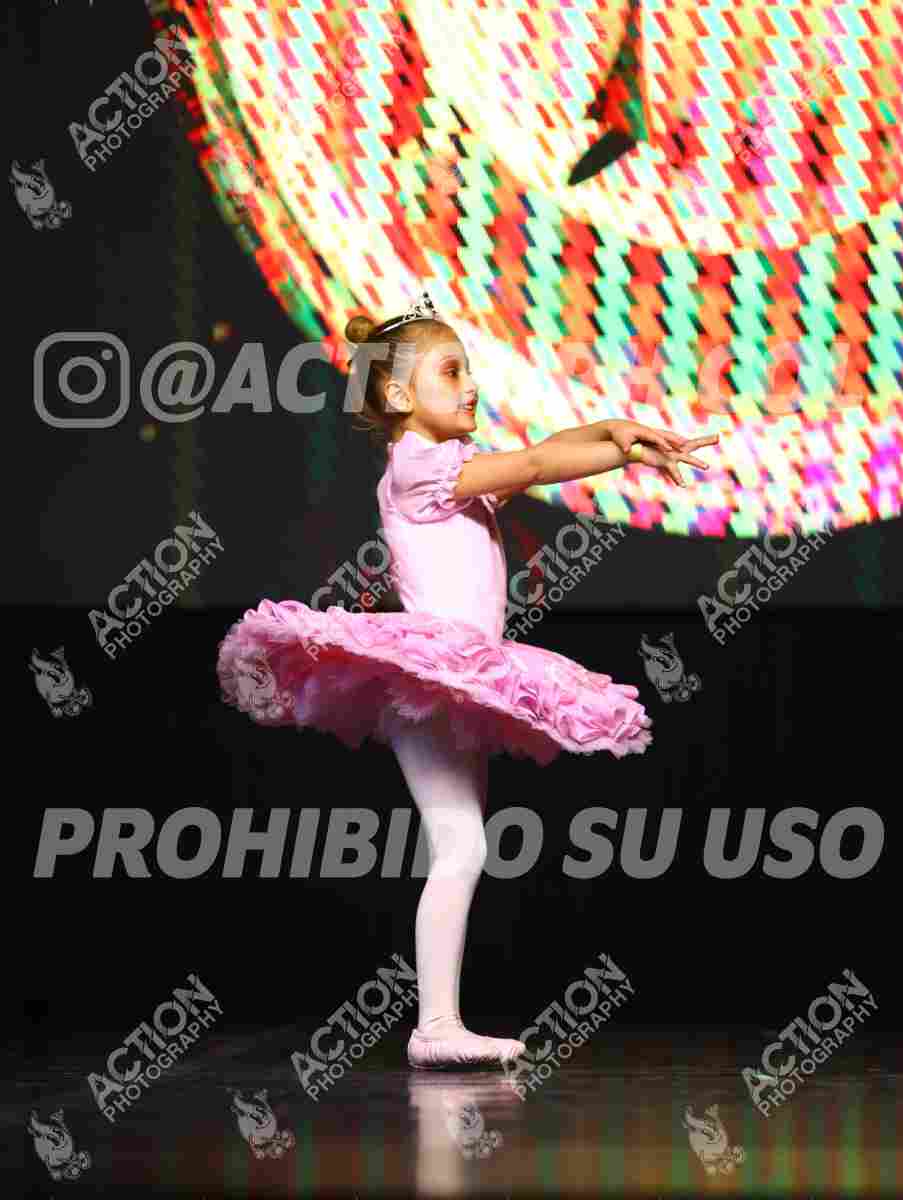 8V3A4848.JPG
