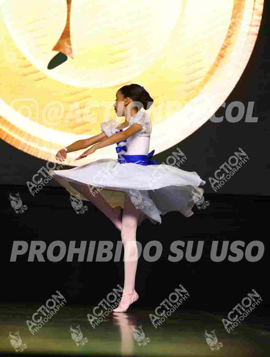 8V3A9690.JPG