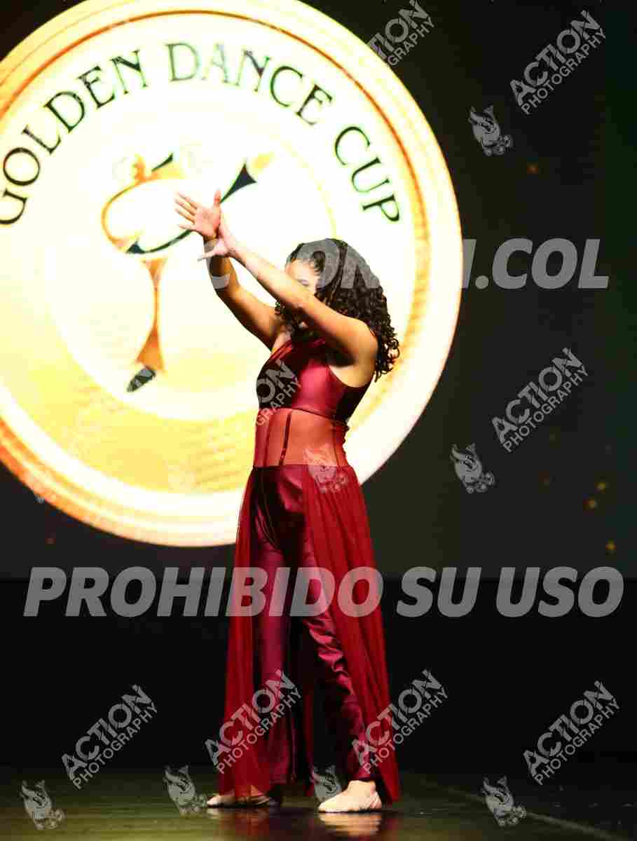 Preview de DIALOGO INTERNO - SARA SOFIA TRIANA BONILLA