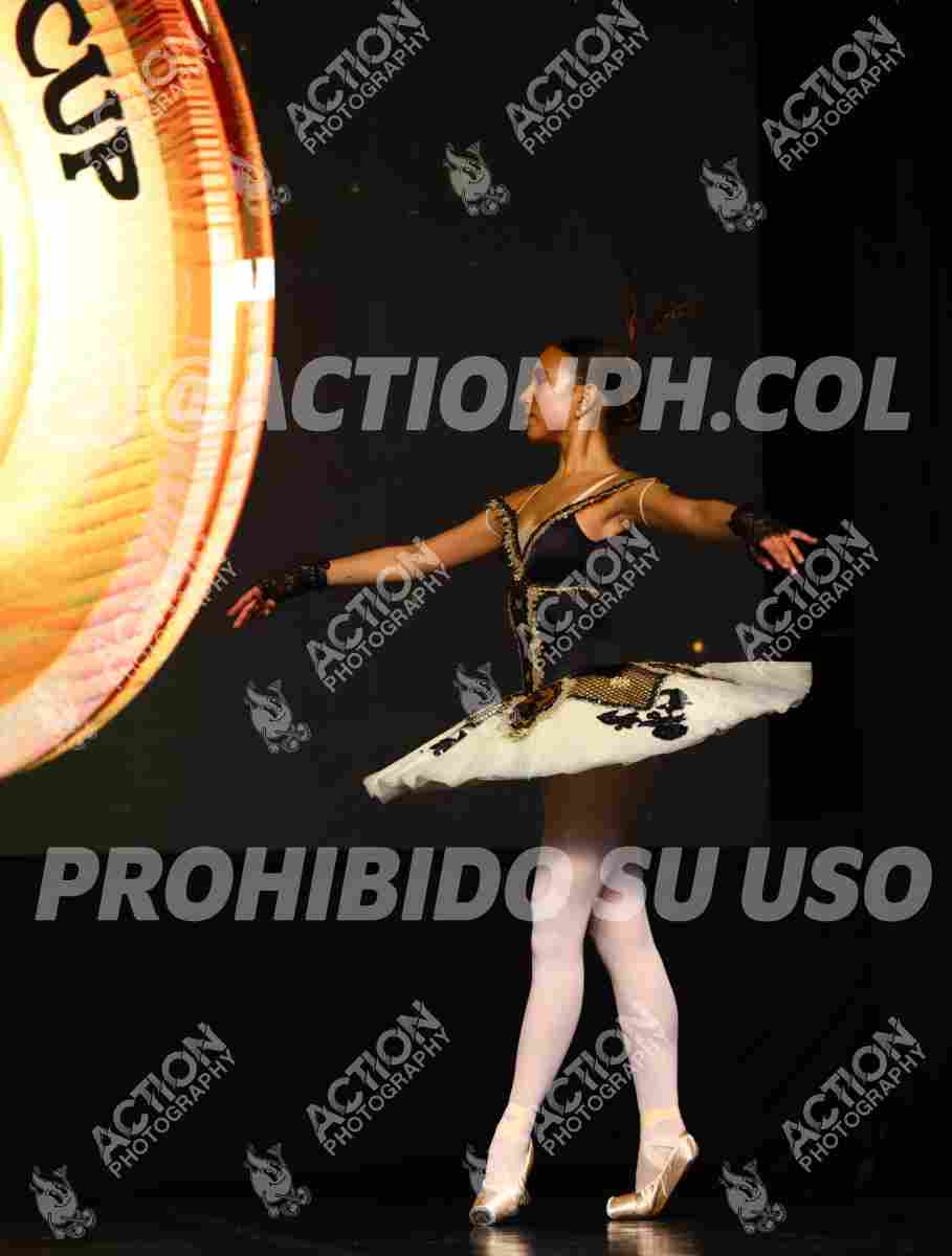 8V3A3726.JPG