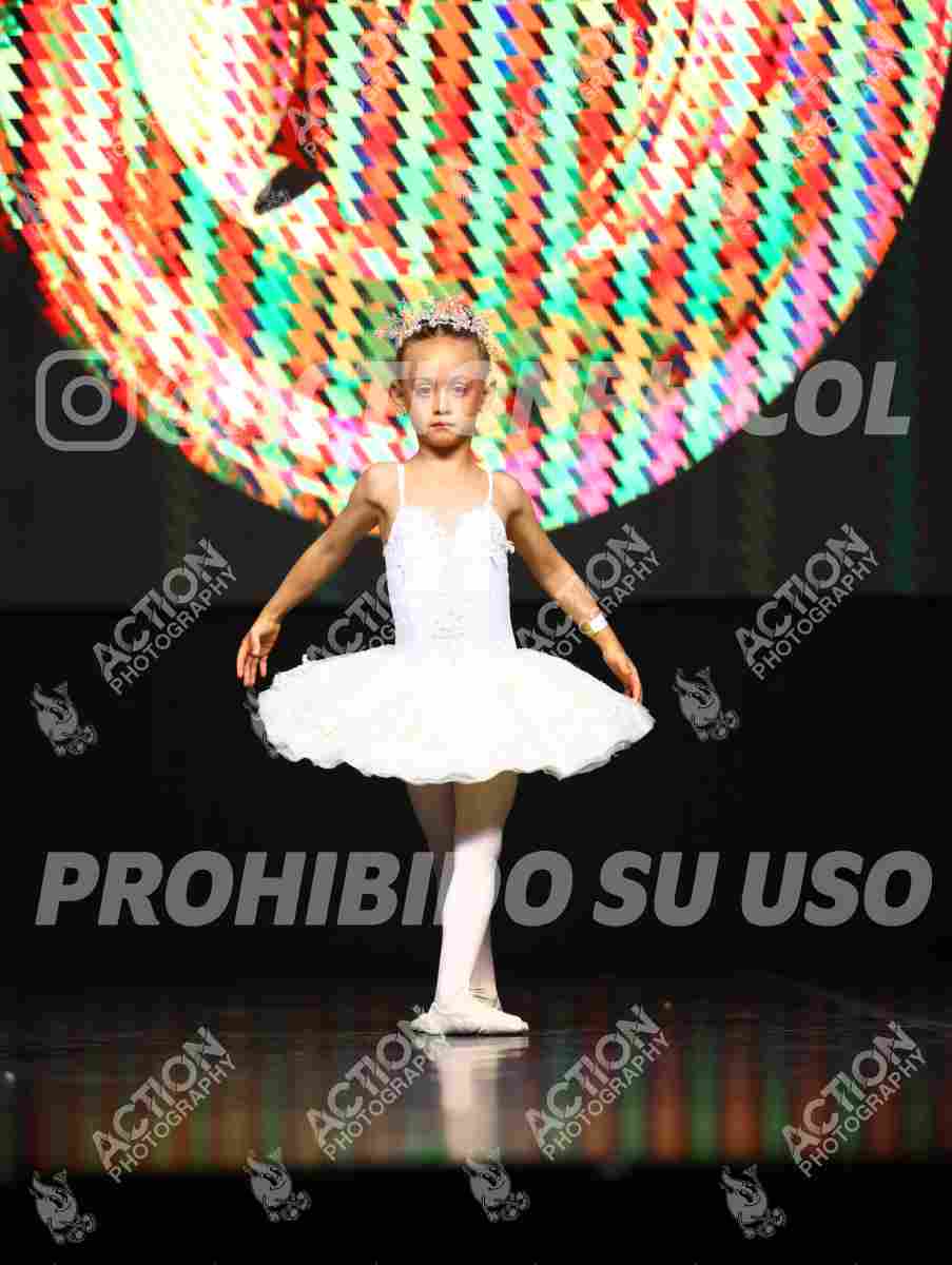 8V3A5373.JPG