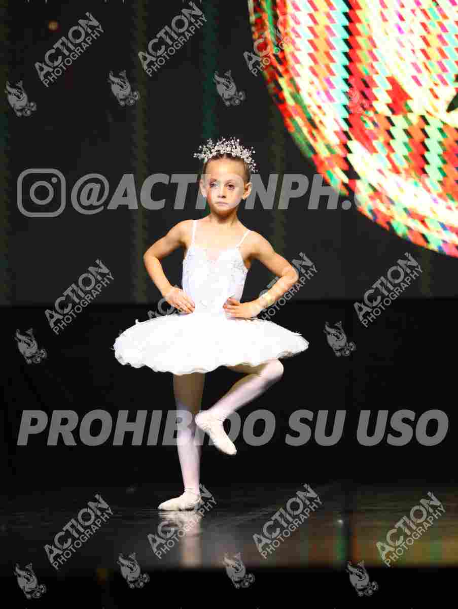 8V3A5378.JPG