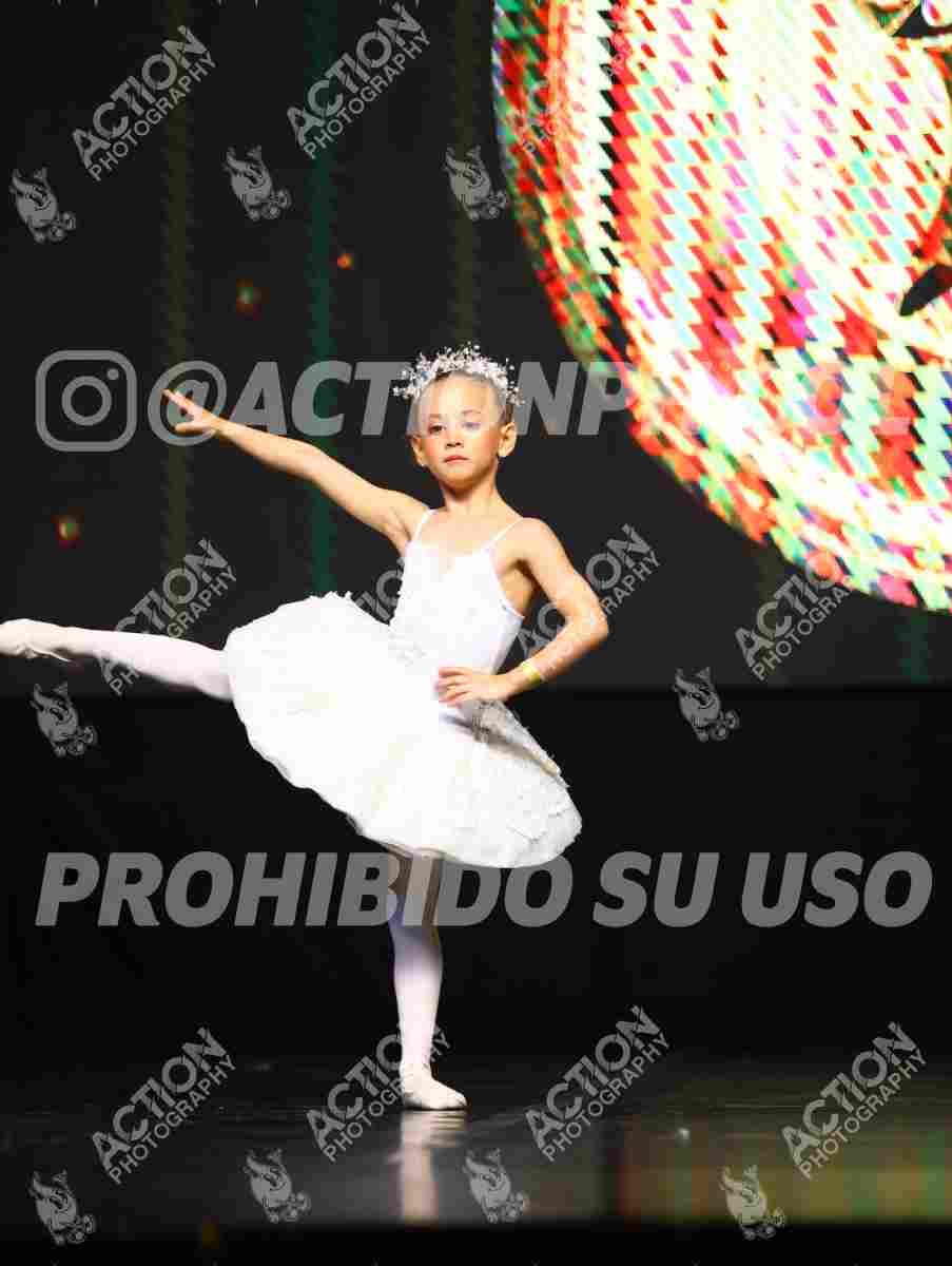 8V3A5380.JPG