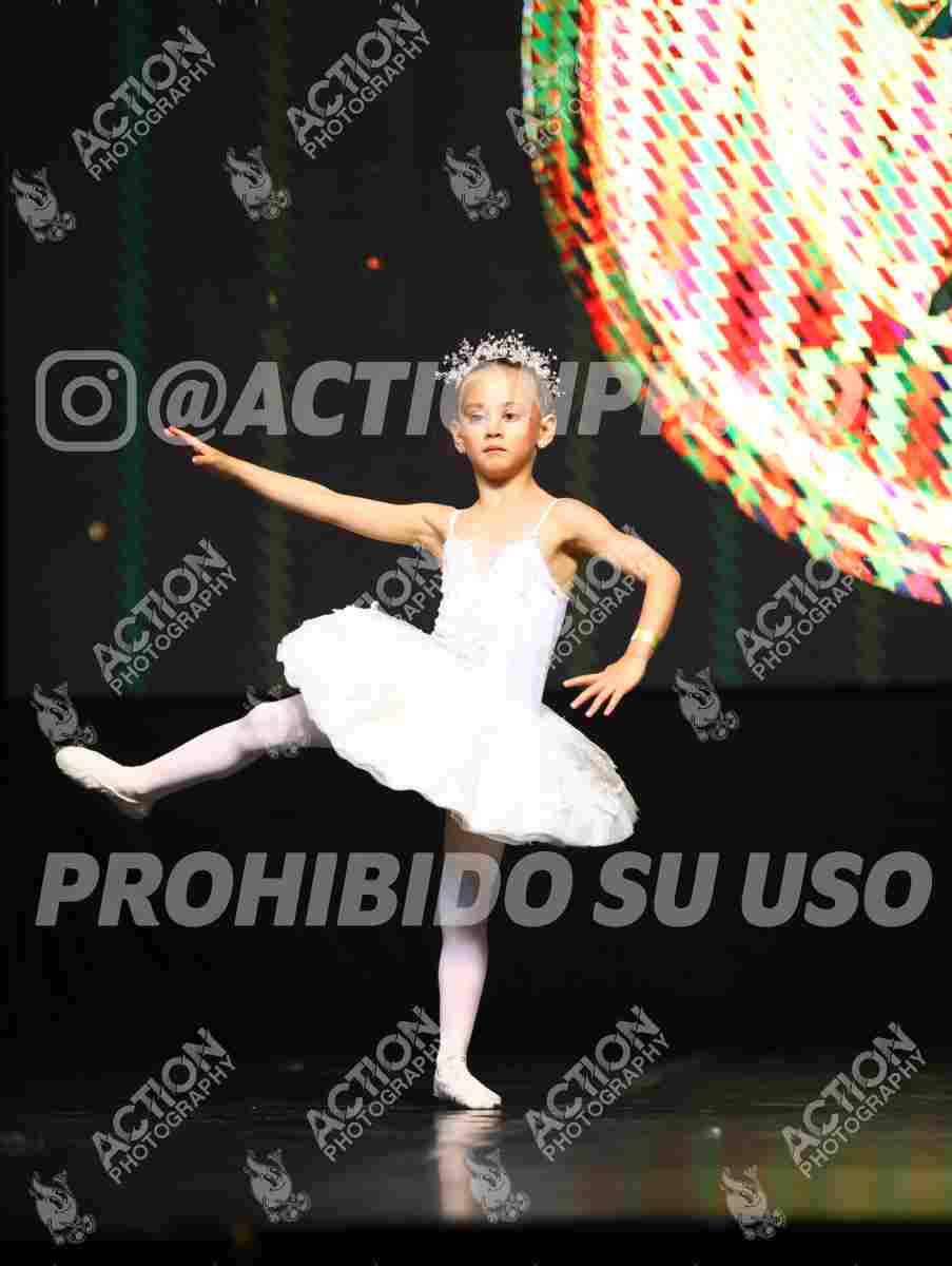 8V3A5381.JPG
