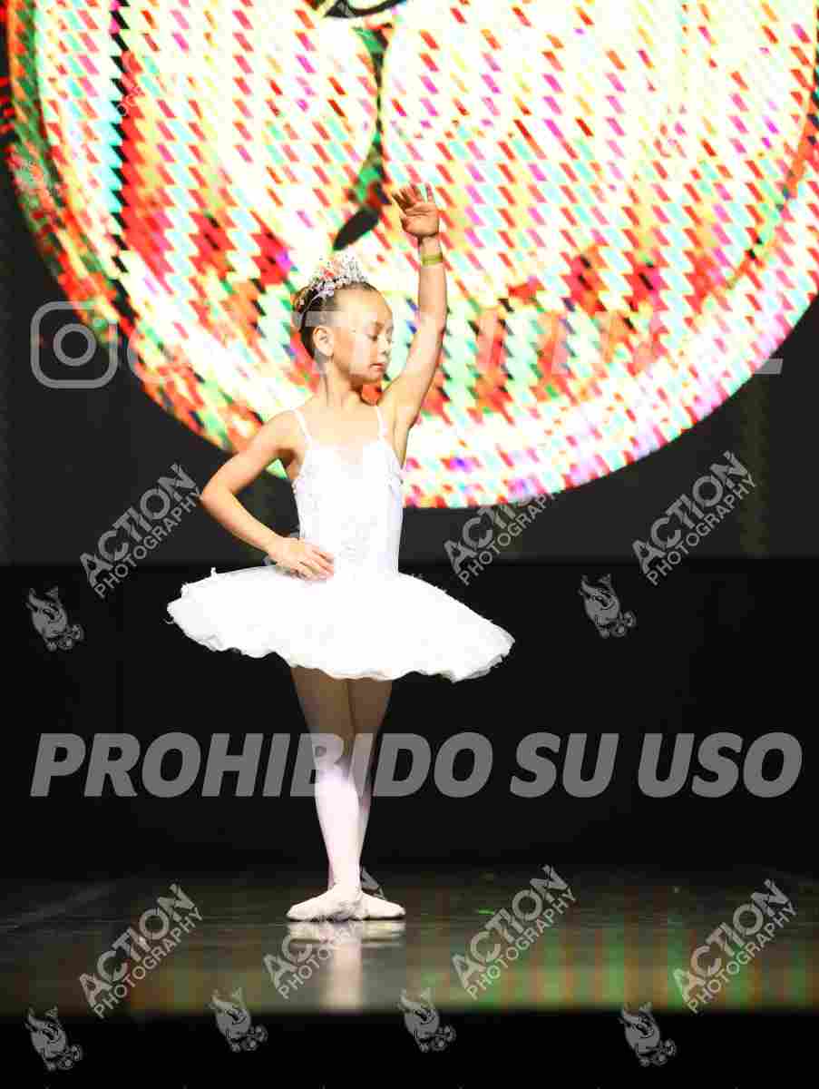 8V3A5385.JPG