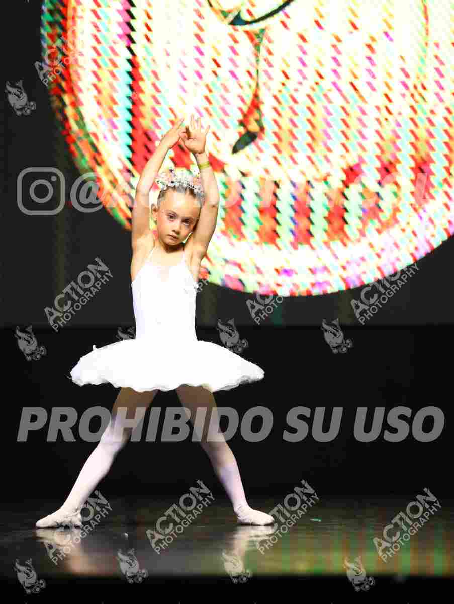 8V3A5387.JPG