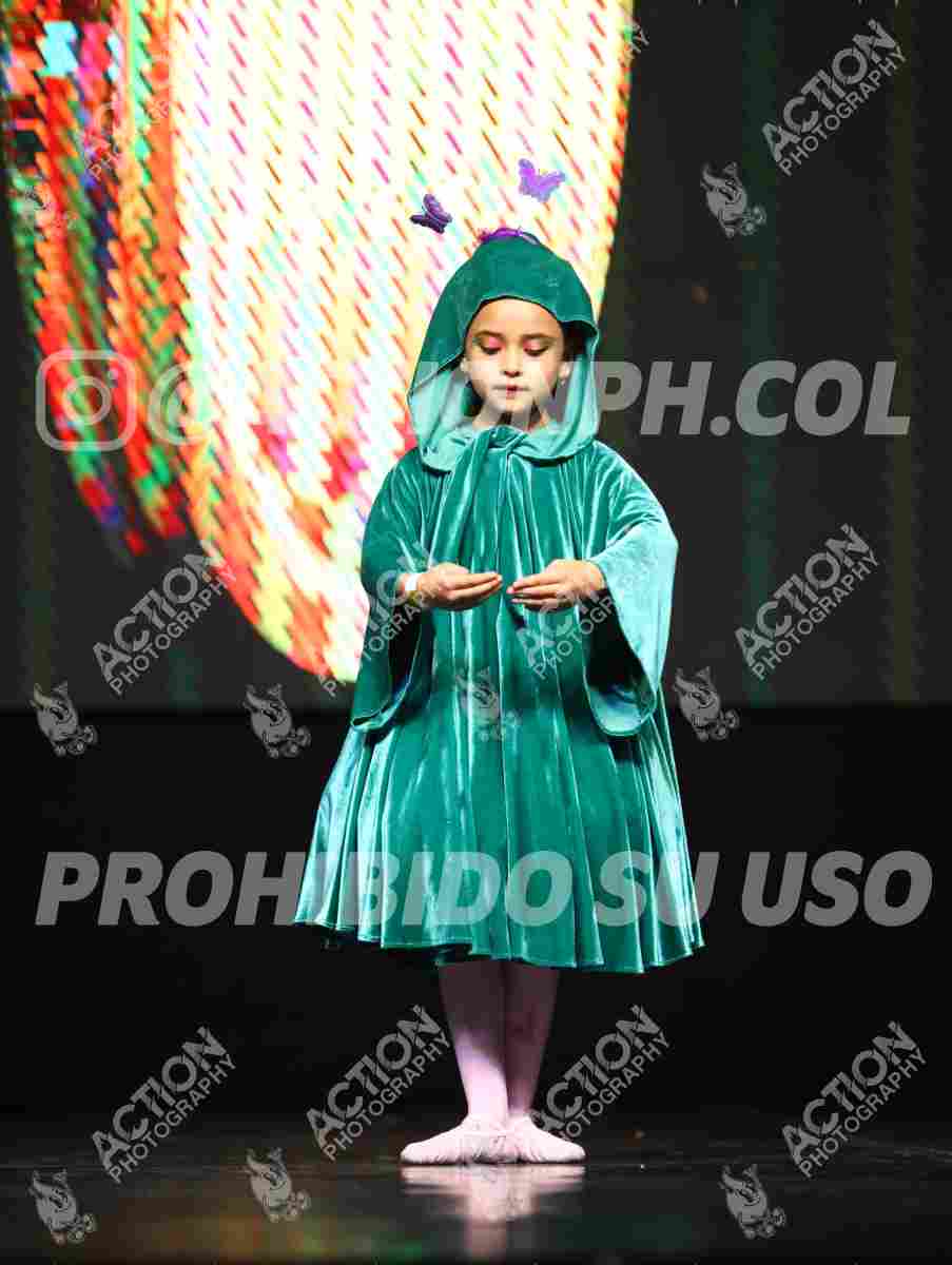 8V3A5529.JPG