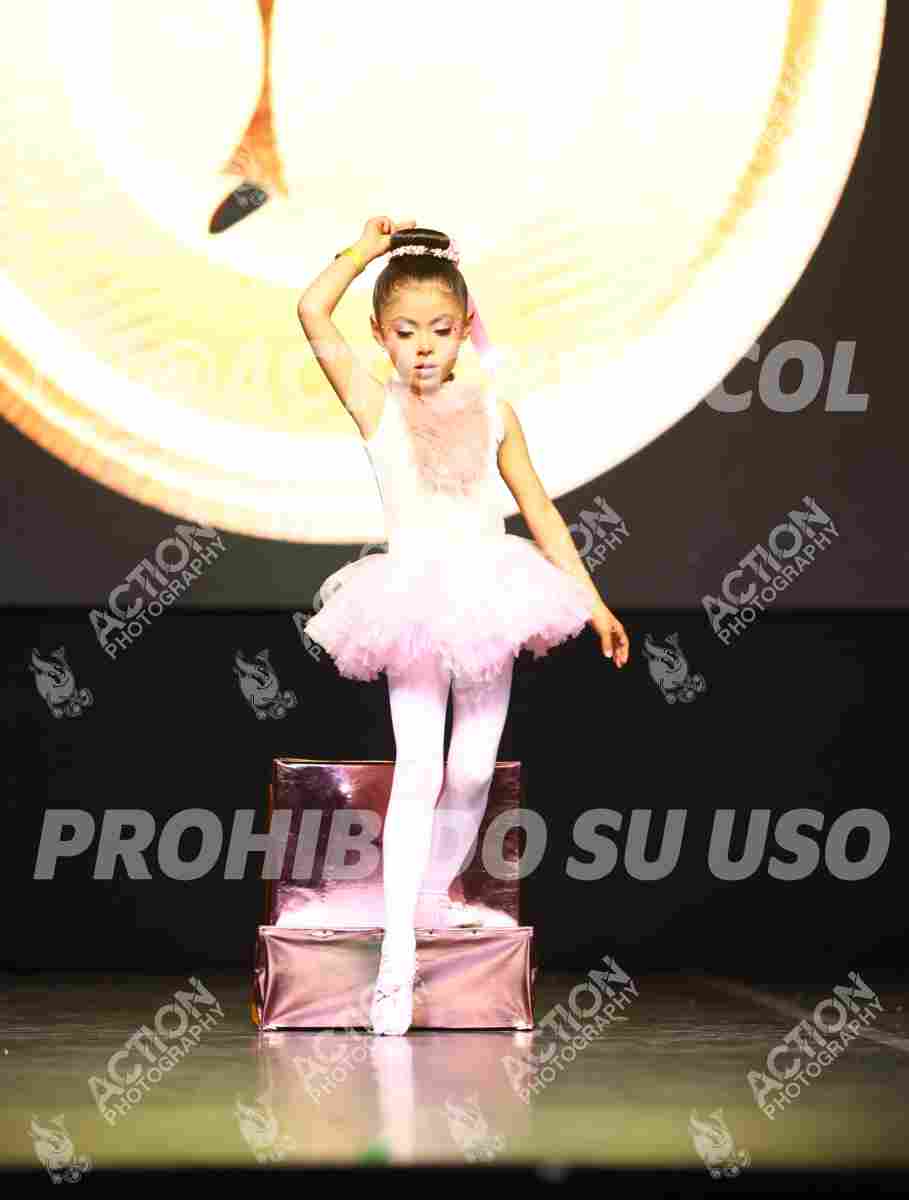 Preview de SUEÑOS DE TUL Y BRILLO-MARIANA SANCHEZ