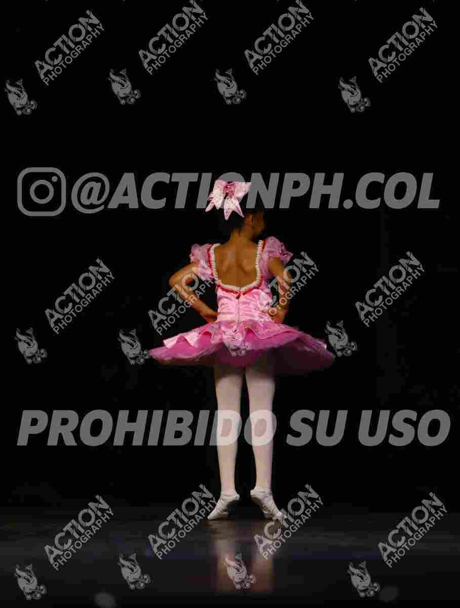 8V3A7255.JPG