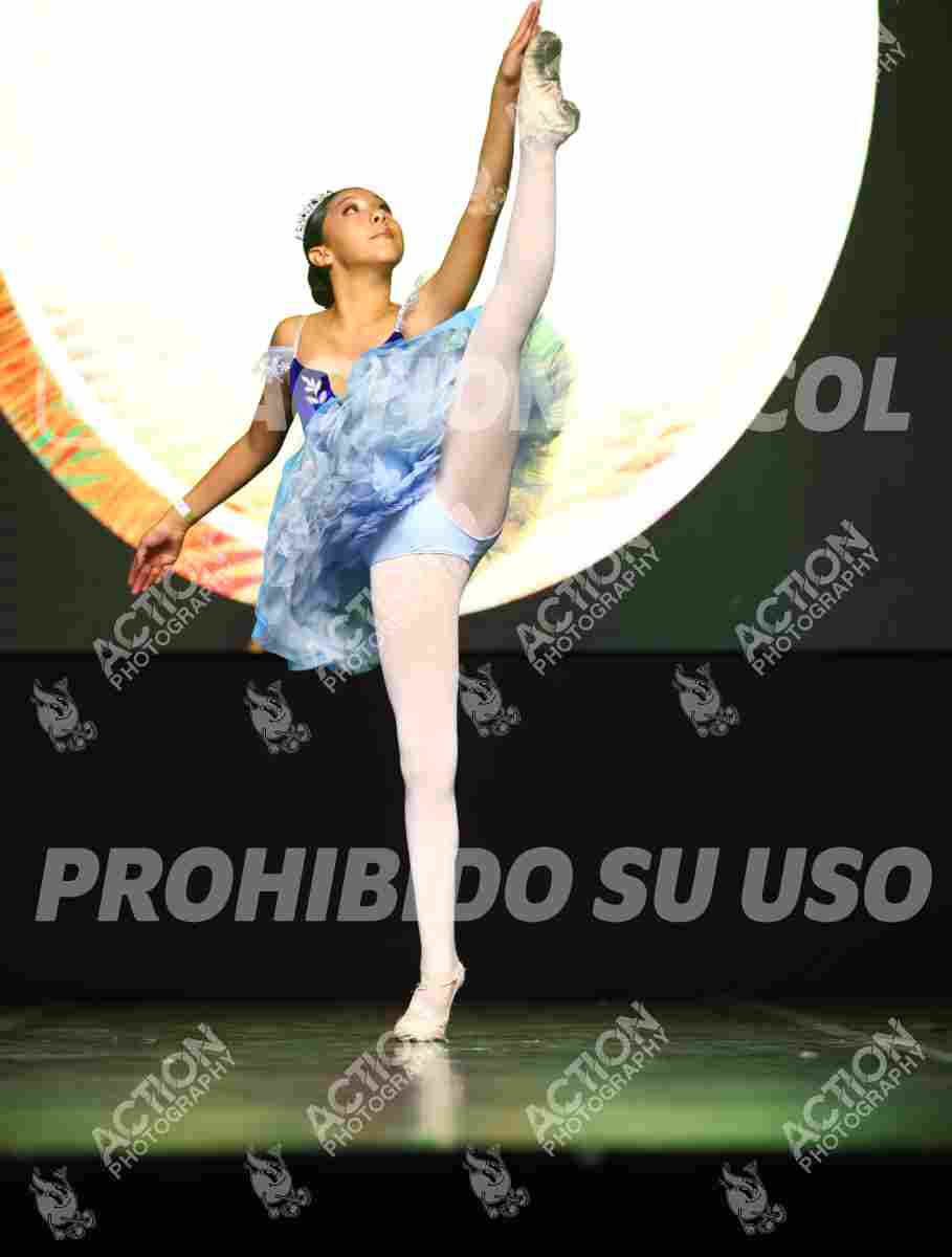 Preview de PAJARO AZUL-EIMMY ALEJANDRA