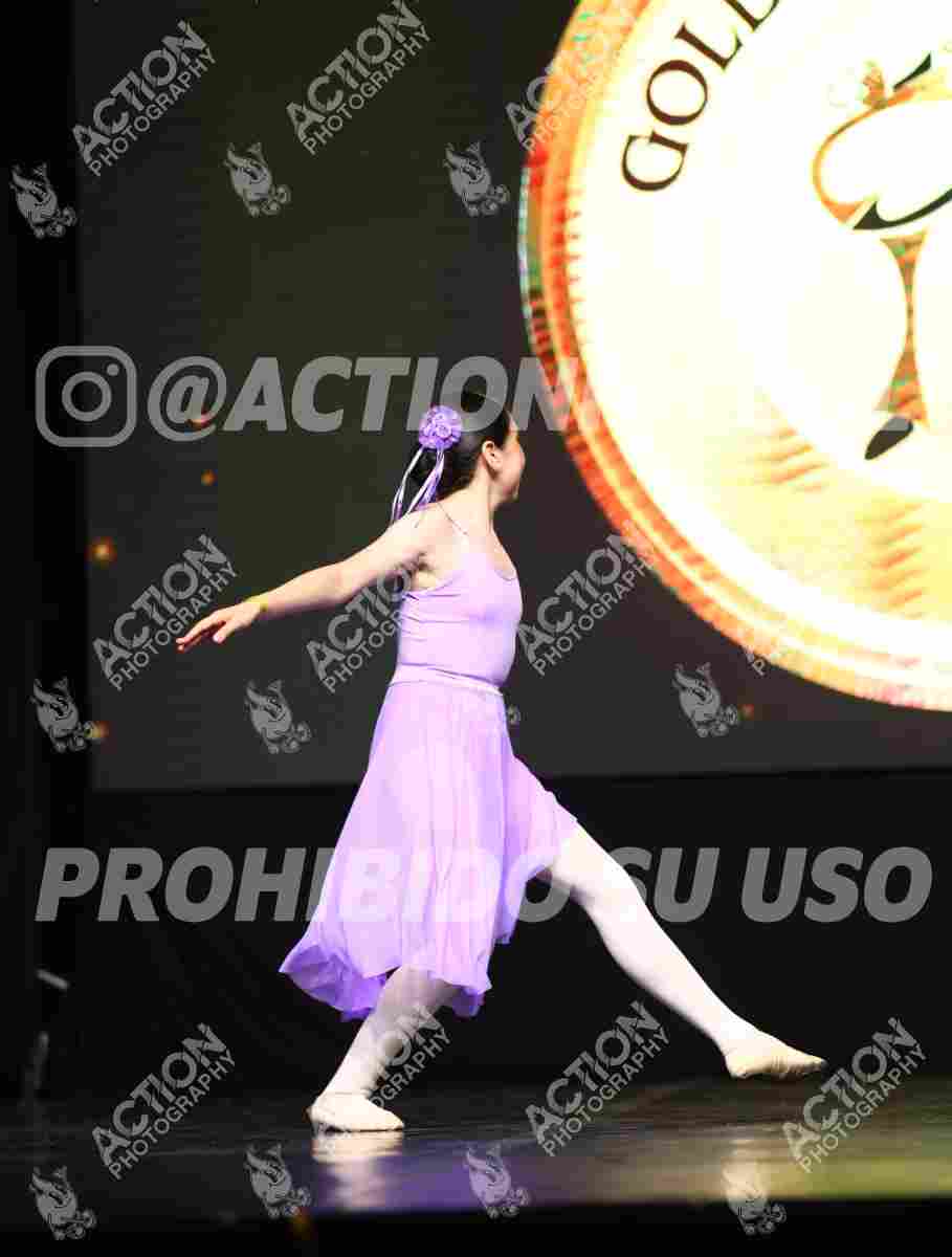 Preview de SOÑANDO UN VALS-ANNY SOFIA GUALTEROS
