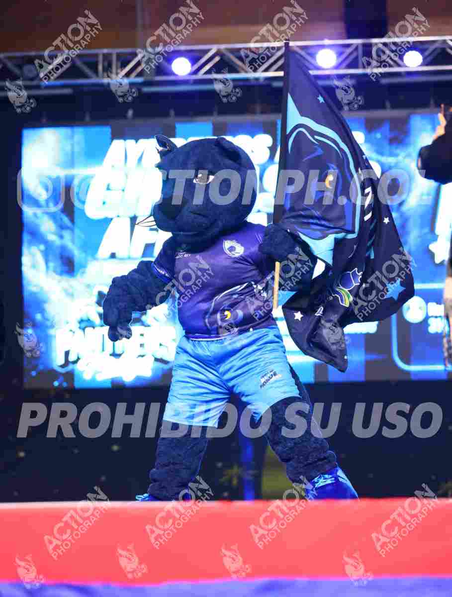 Preview de MASCOTAS