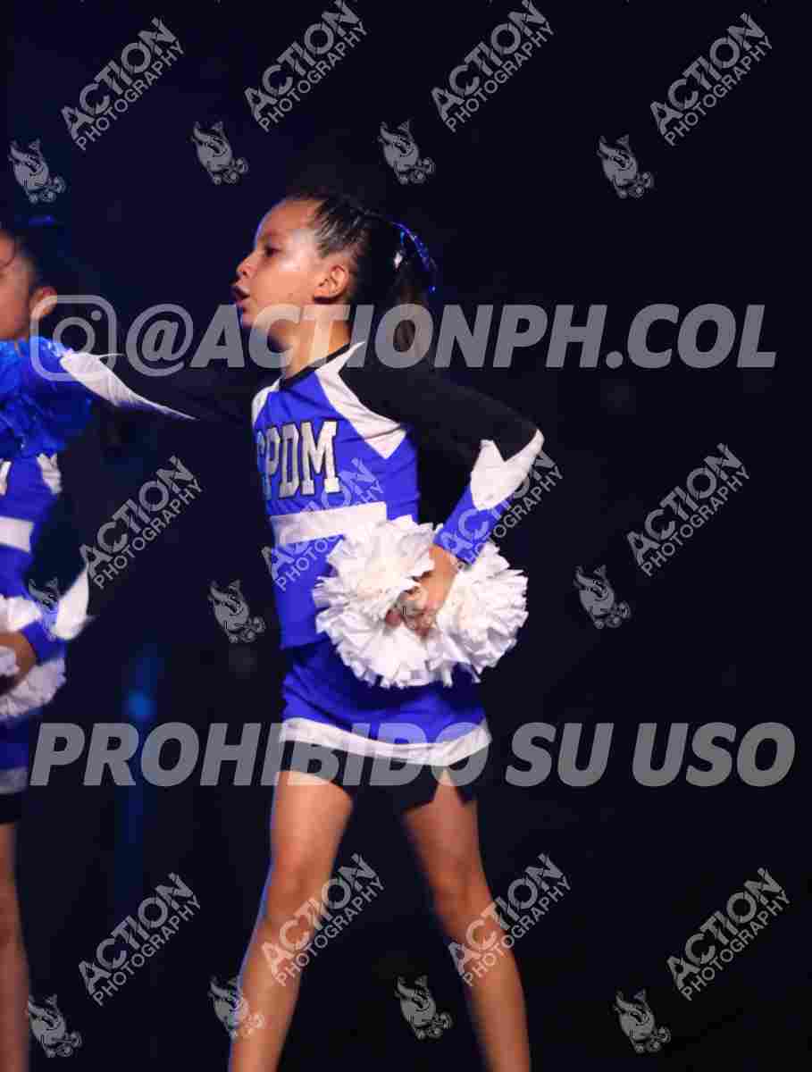 Preview de COLEGIO PEDAGOGICO DULCE MARIA DELFINES