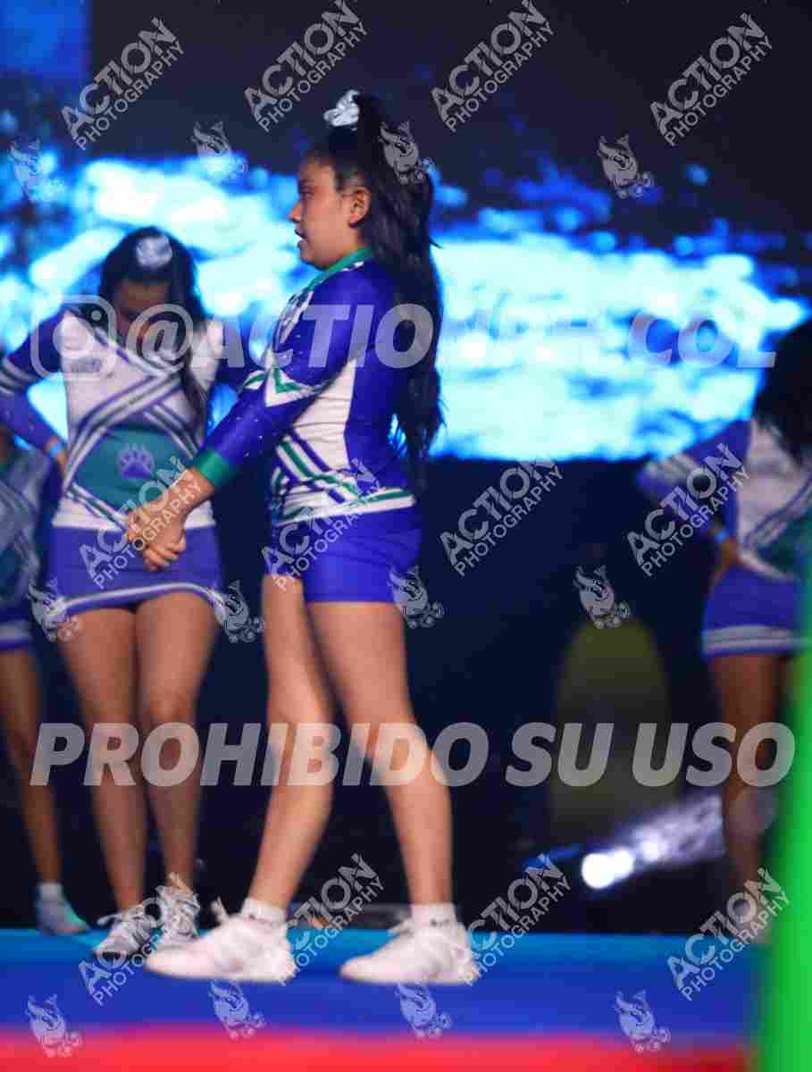 Preview de COLEGIO GIMNASIO EL LAGO
