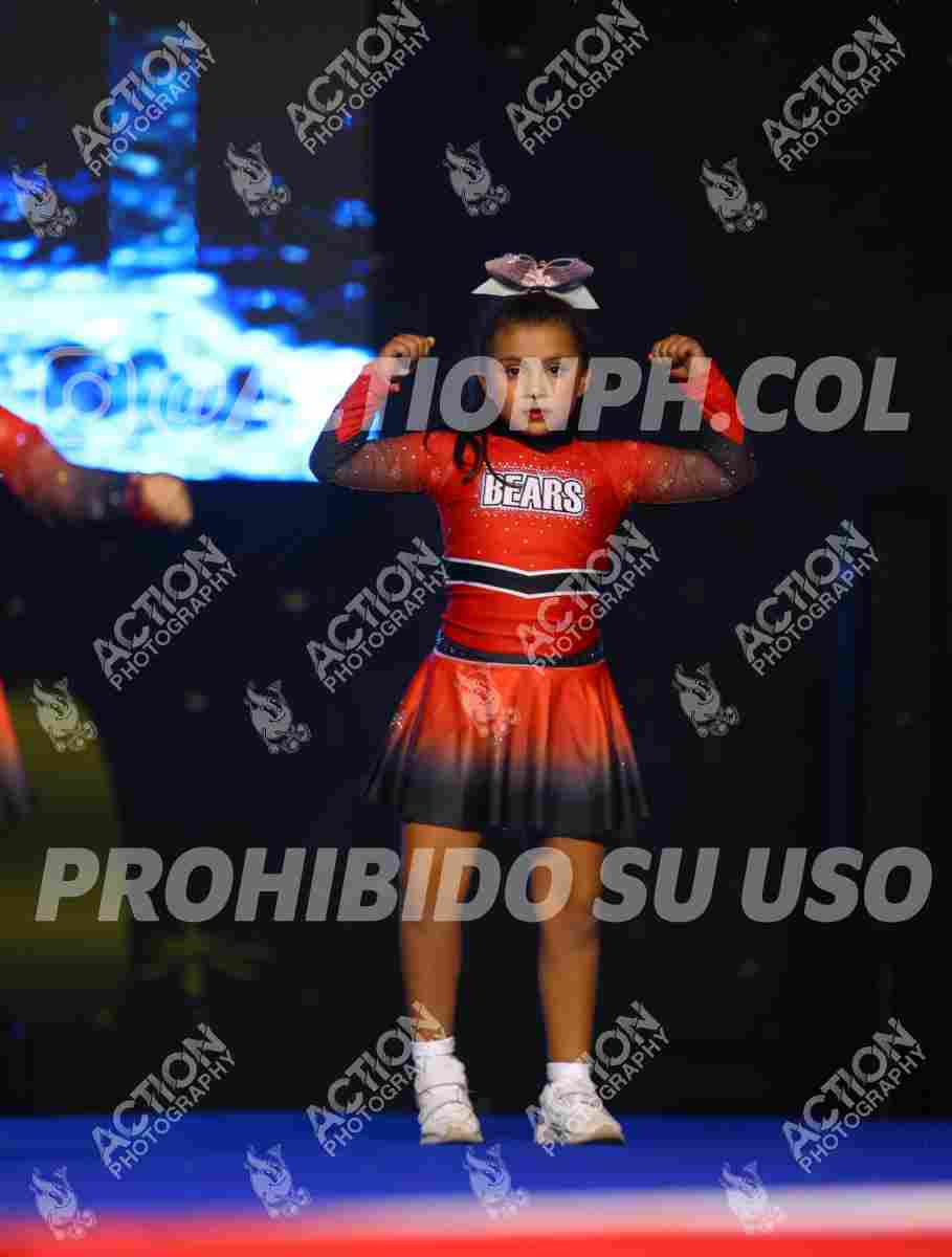 Preview de CANDY BEAR S ALL STARS, BEARS ALL STARS