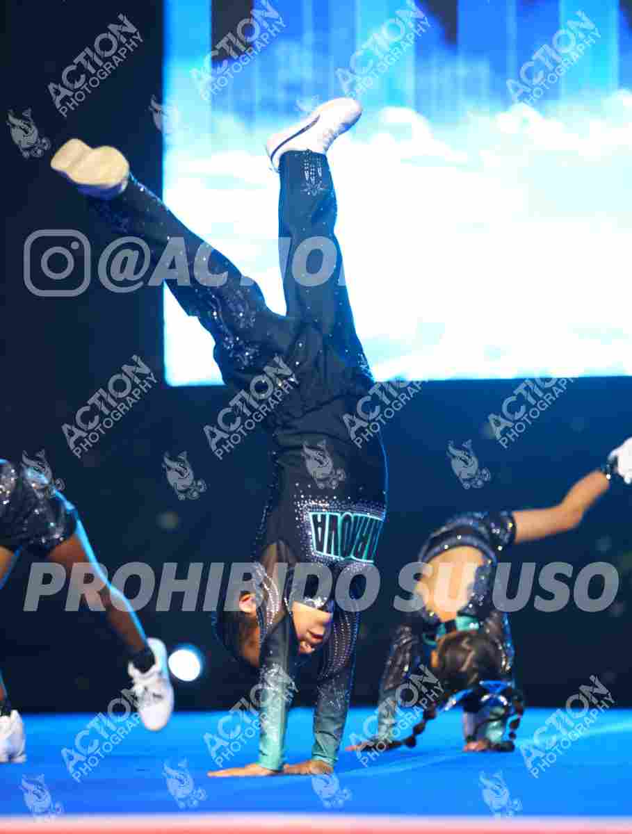 Preview de CLUB STARNOVA GENESIS ALL STARS