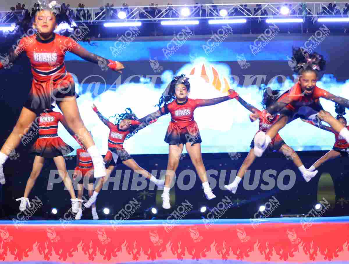 Preview de SWEET BEAR S ALL STARS, BEARS ALL STARS
