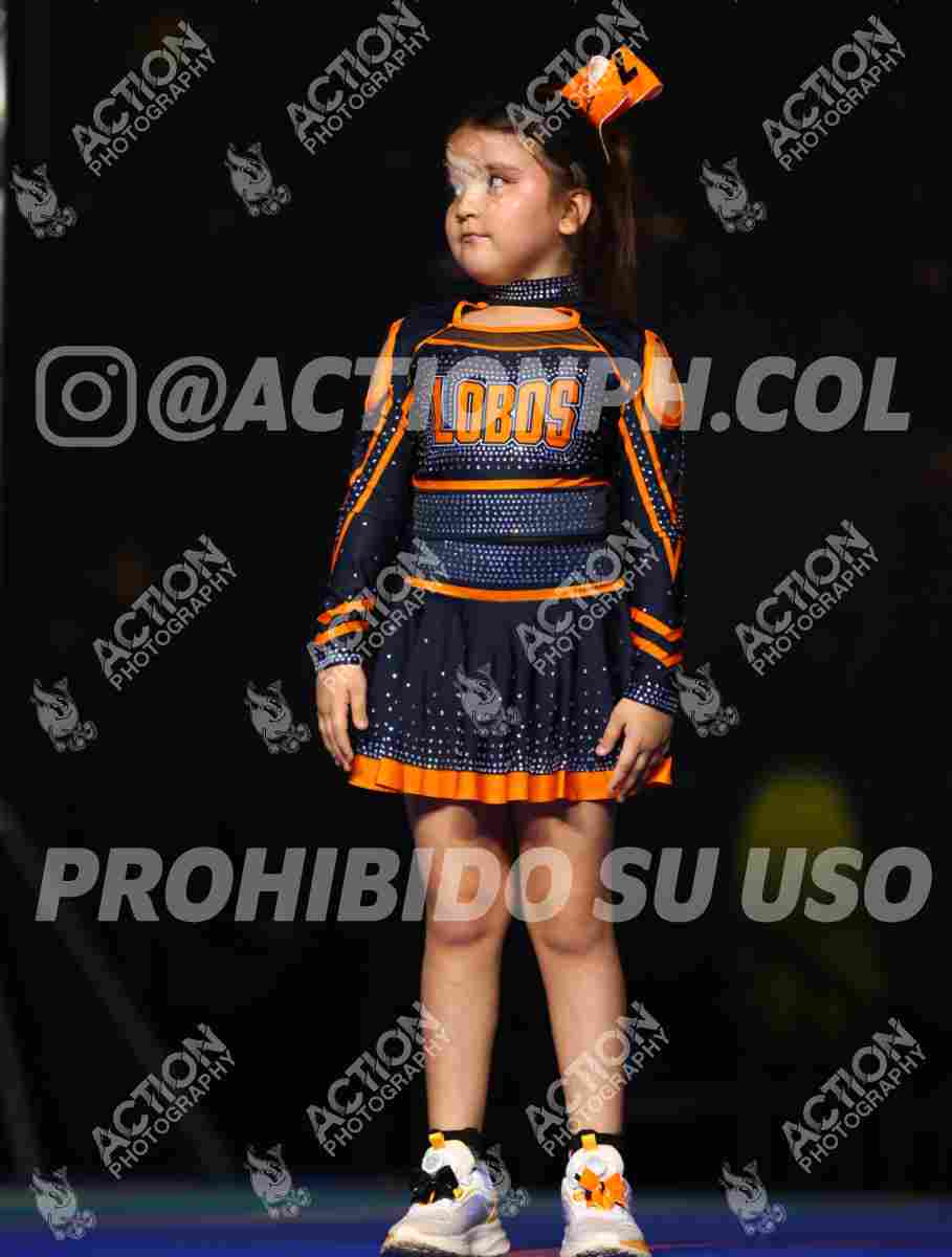 Preview de CLUB DEPORTIVO LOBOS ALL STARS