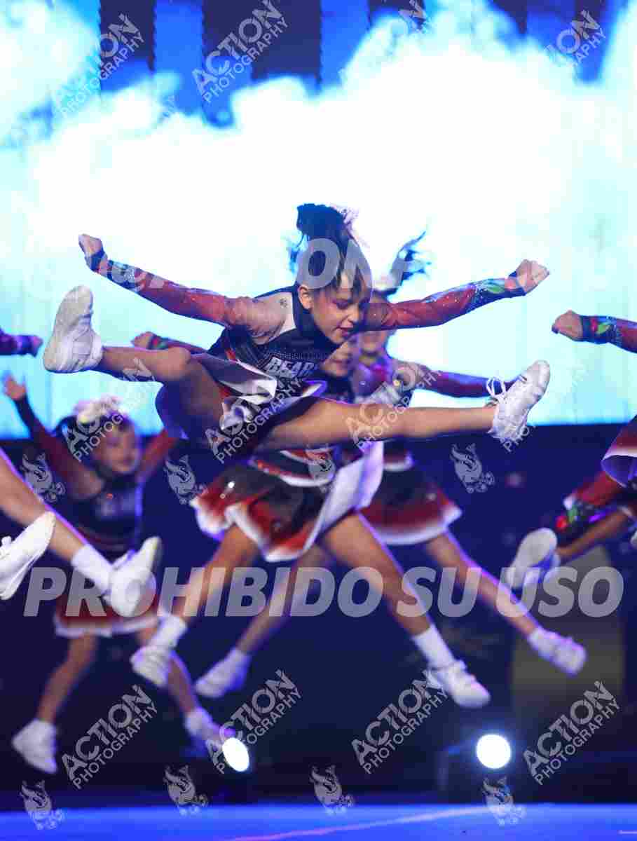 Preview de CHERRY BEA RS ALL STARS, BEARS ALL STARS