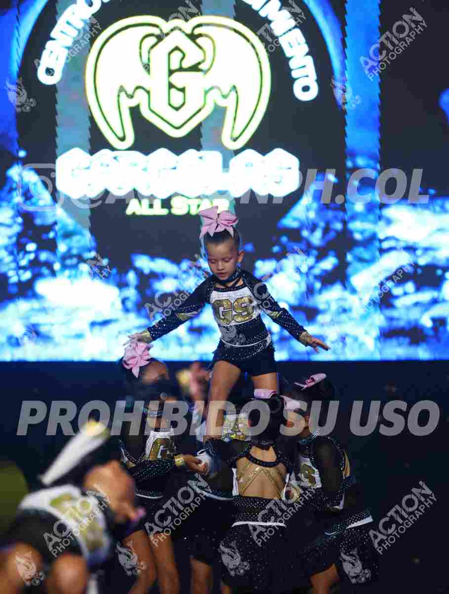 Preview de CLUB DEPORTIVO GARGOLAS DIAMONDS