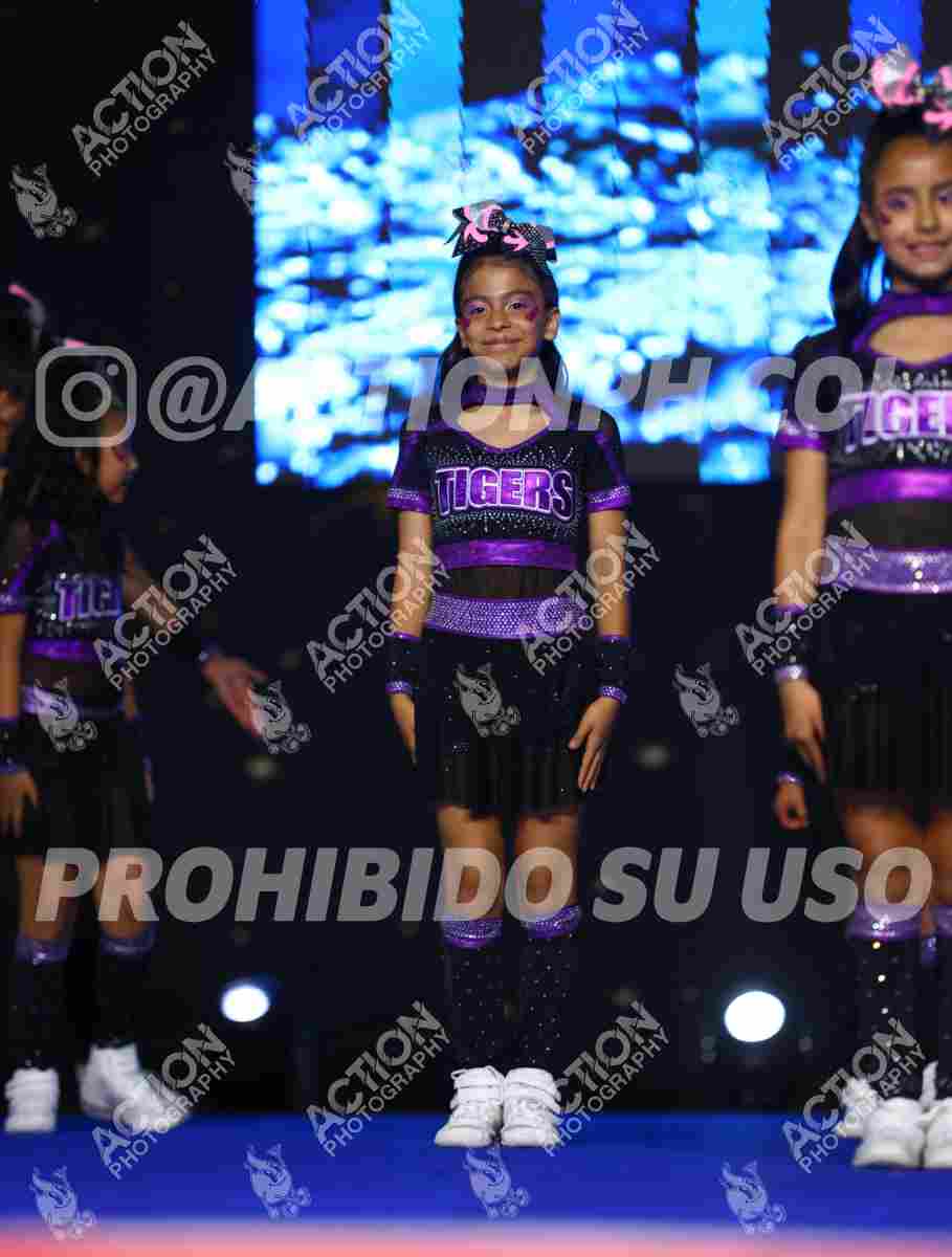 Preview de CLUB TIGERS GLOW ALL STARS